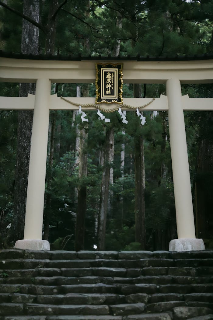 majestic-torii-gate-in-kumano-nachi-taisha-japan-34421899