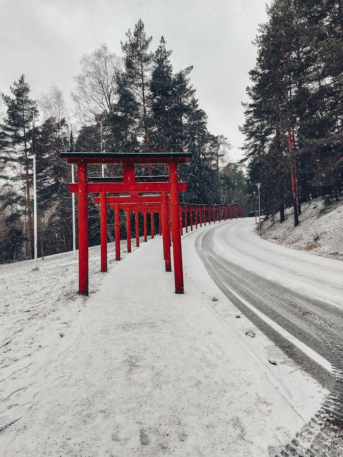 Services Snow-covered path with traditional red torii gates surrounded by a serene winter forest.