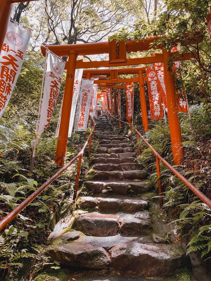 Services Stone steps lined with red torii gates in Fukuoka, Japan, surrounded by lush greenery.