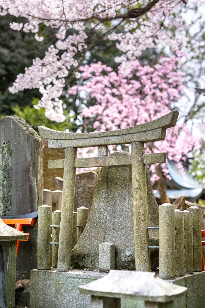 Services Quiet Shinto shrine surrounded by vibrant cherry blossoms, capturing the essence of Japanese culture.