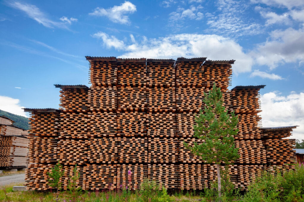 Holzlager – Hölzer in der Trocknung